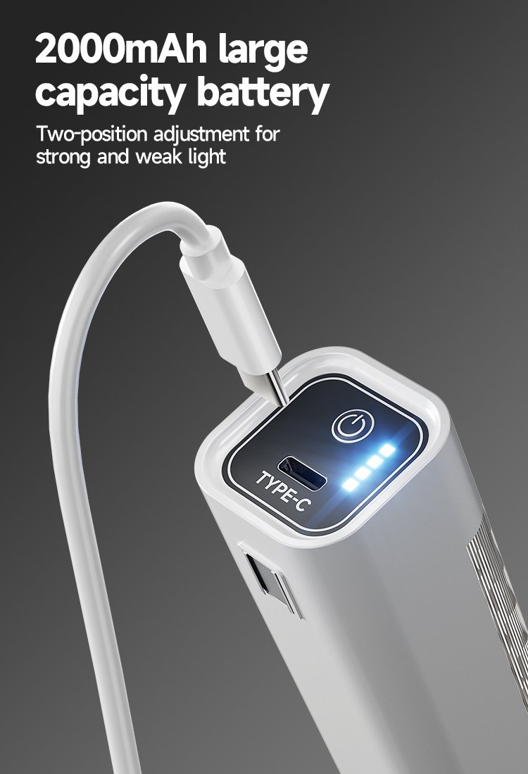 Portable Rechargeable LED Lamp DP-7172 detail (6)