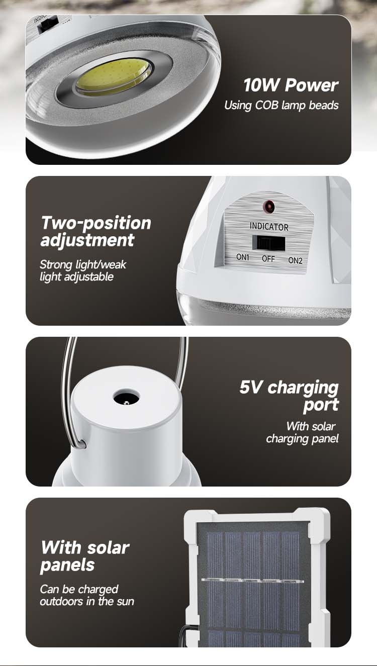 Emergency Bulb DP-7852T detail (2)