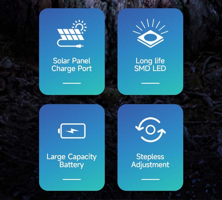 Emergency Light DP-7161B-detail (2)