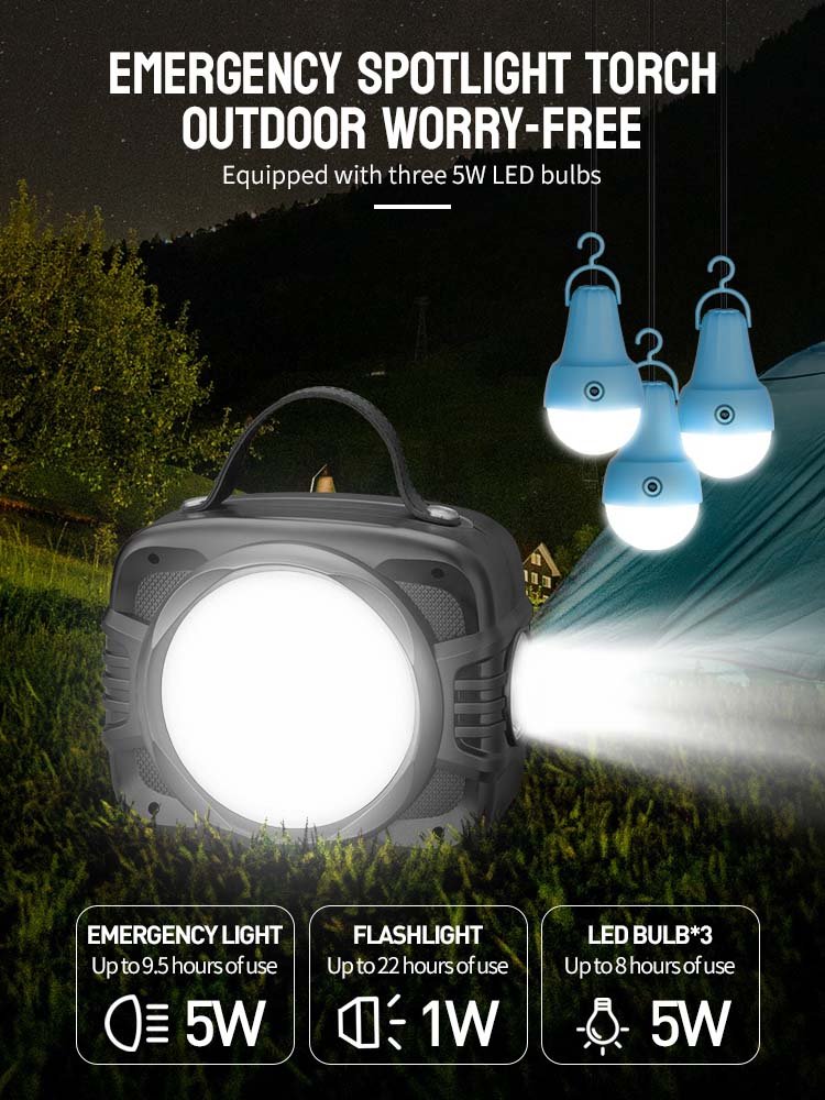 Solar lighting system DP-7718 detail-4