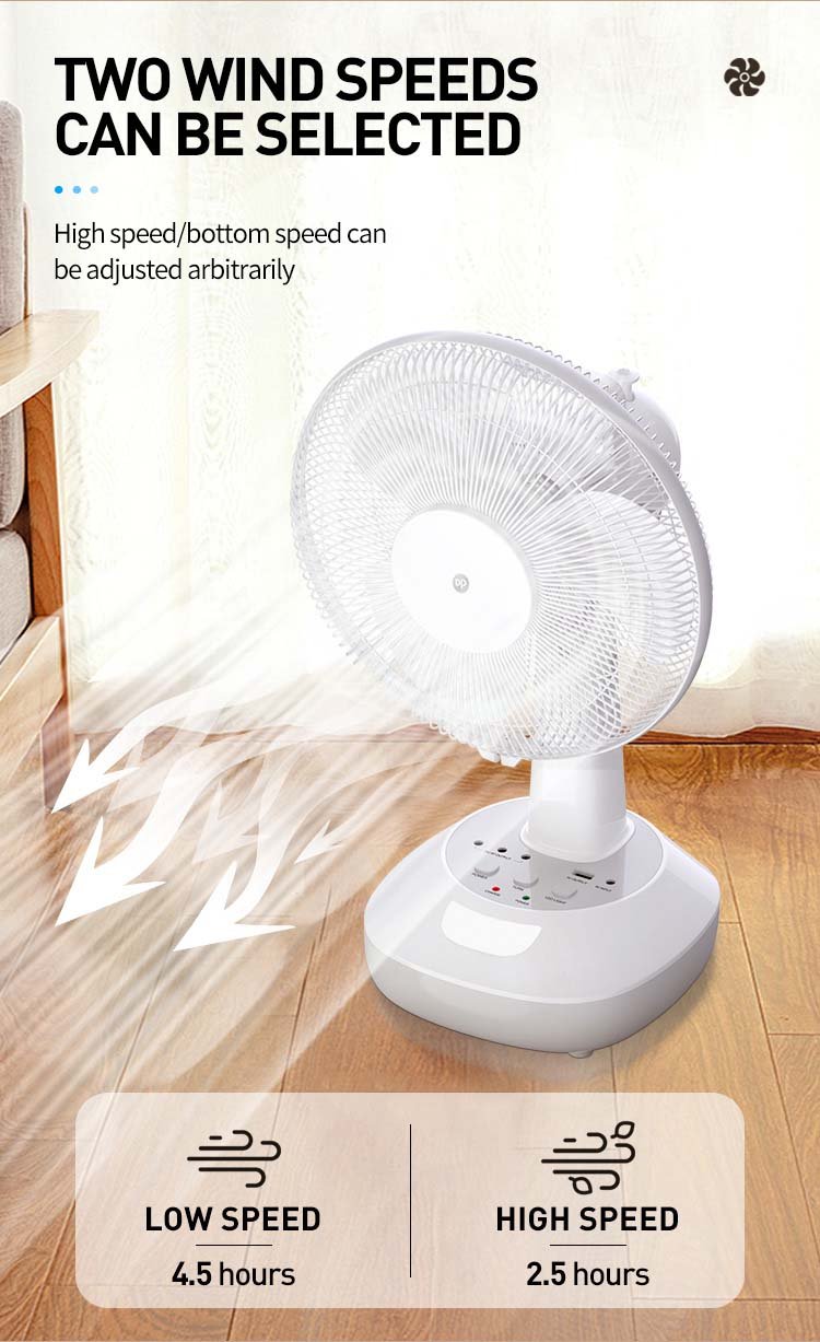 fan DP-F106AT detail (3)